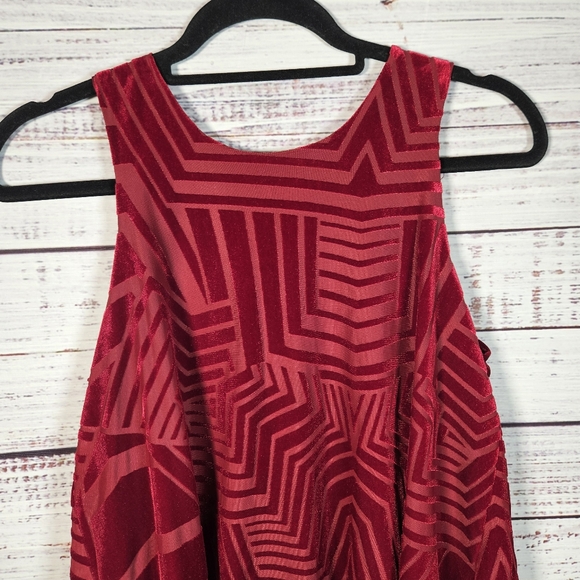 NWT Anthro Sunday in Brooklyn velvet swing tank top - Picture 3 of 14